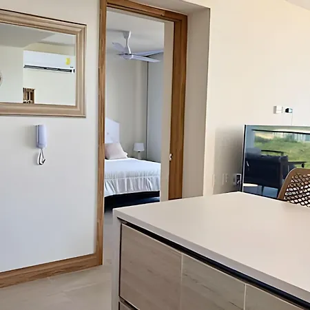 Apartamento Lujoso, último Piso Con Salida Directa A La Playa
